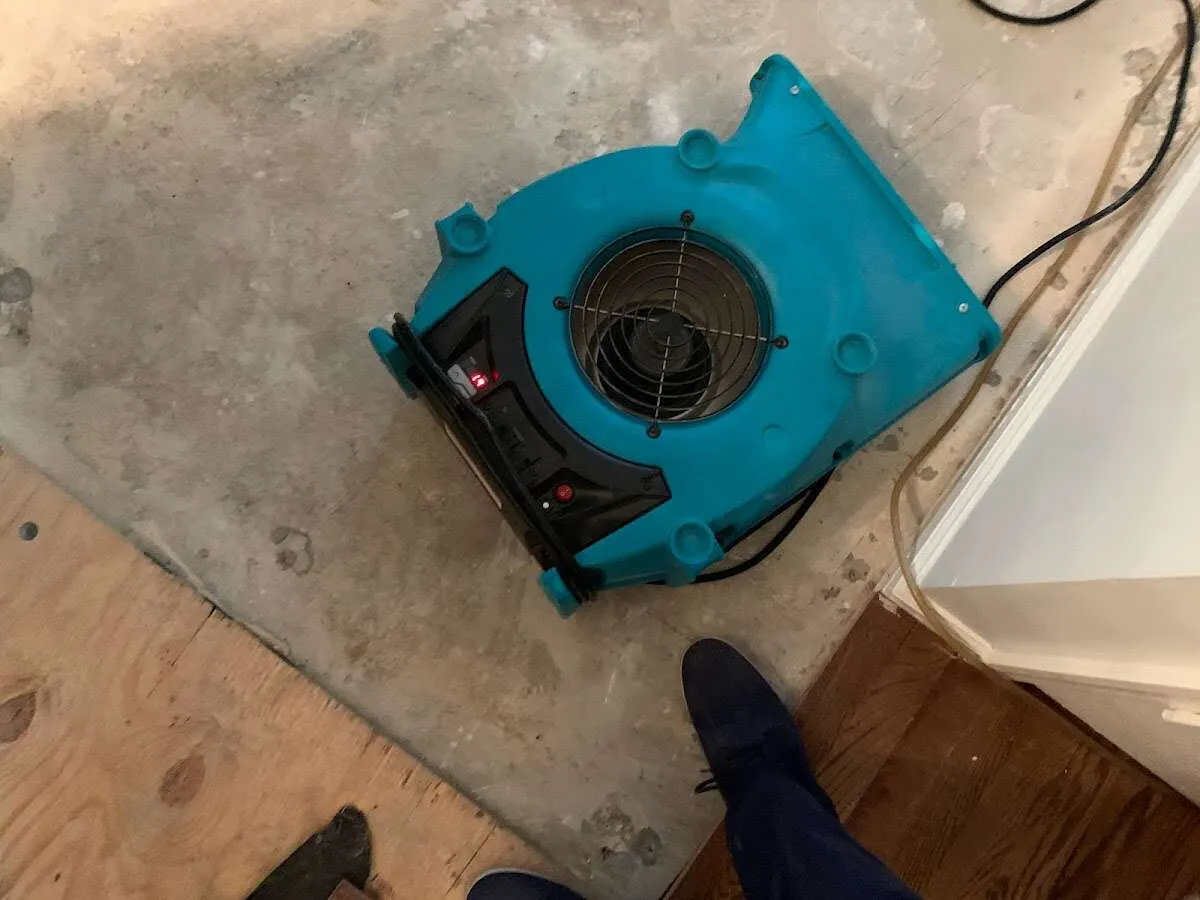 Air mover drying subfloor during Leak Detection & Repair in Dana Point